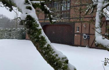 Landhaus Lotten - Foto 56