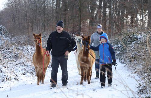 Schauerhof - Photo 6