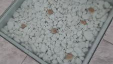 Paradise House - Foto 5