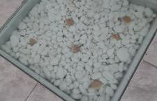 Paradise House - Foto 5