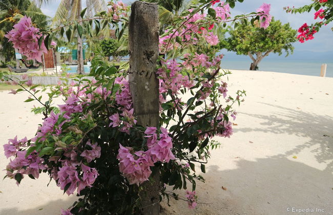 Dos Palmas Island Resort & Spa - Foto 72