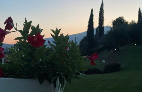 CHALET VELA Natura e Relax - Foto 57