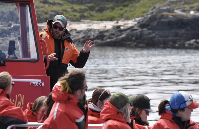 4 Hour Whale and Wildlife Boat Tour - Foto 14