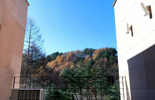 Hugel Heim Pension - Foto 79