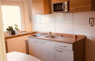 Neckarblick,Natur, Altstadt - Photo 46