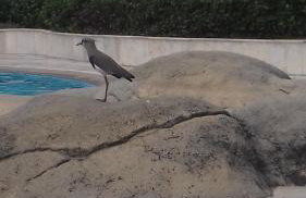 Apartamento Pontal Beach. - Foto 13