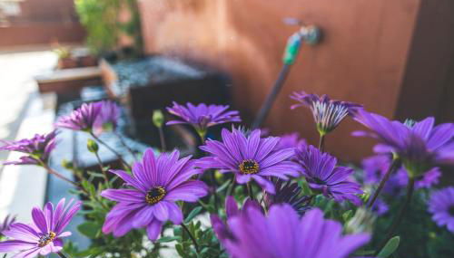 Apartamentos Turísticos La Castilleja - Foto 5