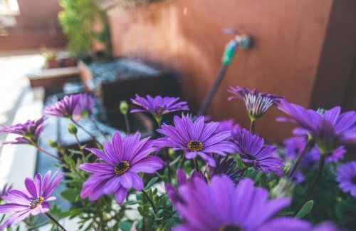 Apartamentos Turísticos La Castilleja - Foto 5