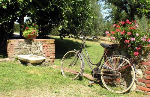 Agriturismo Il Sole Verde - Foto 110