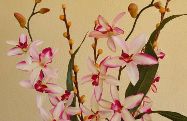 Villino Maria Elena - Foto 54