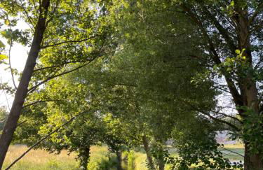 Guesthouse with 3 apartments, just outside Berlin, near to Tesla - Foto 30