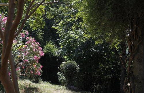 LOU PITCHOUN - Jacuzzi SPA Privé - Vignes - Proche ALBI et CORDES - Foto 20