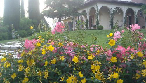 Villa Torre Zisa - Foto 3, Garden