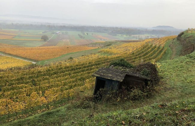 Holiday Apartment Kromer - Foto 18