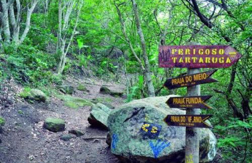 Pé nas trilhas - Foto 1