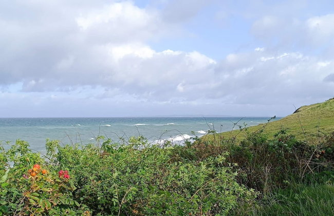 Pet Friendly Holiday Home in Dronningmølle near Sea - Foto 29