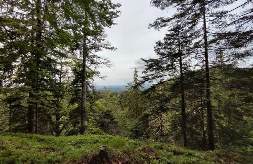 Appartement du Pré Nouveau - Foto 18