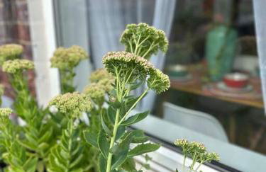 Leeds Cosy House - Photo 42