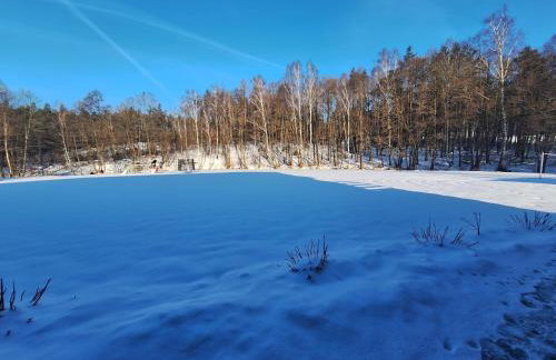 Apartamenty W Zaciszu - Foto 39