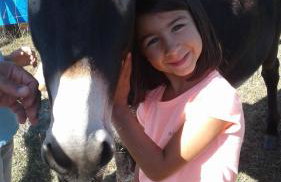 Gites De La Grande Borderie - Photo 5