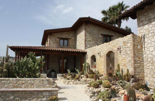 Garden Cactus - Foto 52