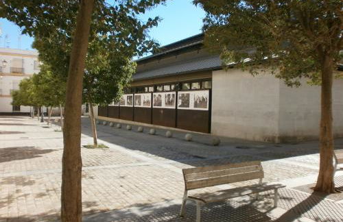 Casa en Plaza de la Merced_Centro Flamenco_Cádiz - Foto 29