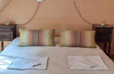 Domaine des Aulnaies - Beauval - Mareuil sur Cher - Foto 48