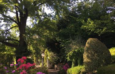 Il Pioppo Antico - Photo 53