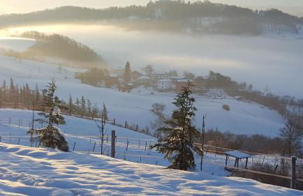 Allevamento B&B - Foto 81