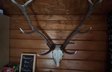 Romantic Swiss Cabin Hideaway & Hot Tub Spa Pool - Foto 49