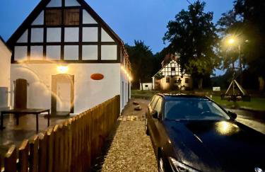 Winnica Bursztynowa - Foto 9