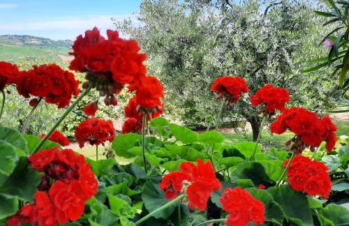 Maison Margot - Foto 7