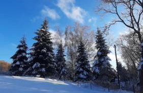 Domek - Na Lipę - Foto 32