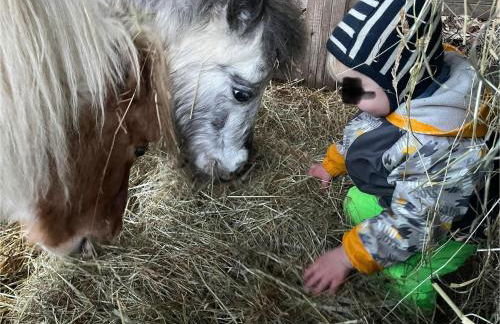 Ferienhaus Napoleon - Foto 33