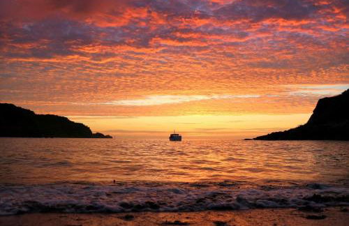 Where Families Reconnect And Dogs Truly Belong - Foto 16