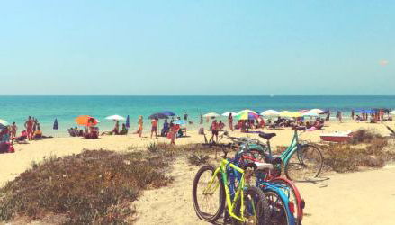 Colori a mare - Foto 2