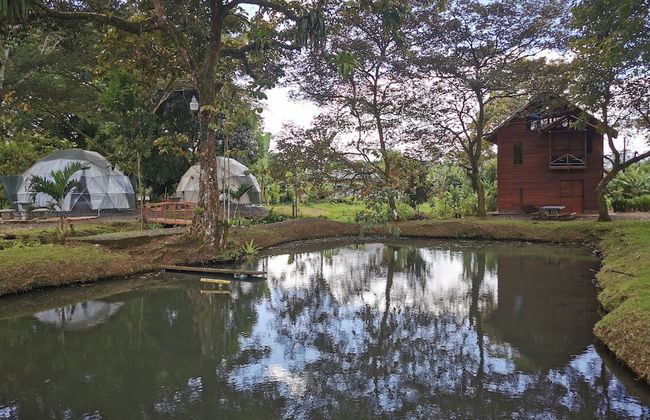 Cabaña del Lago Fortuna - Photo 9