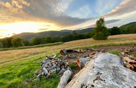 MotoCamp Wales -Camping Pods - Foto 41