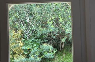 Chez Paulette Sur la Plage - Foto 16