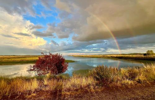 Westbury House - Foto 28