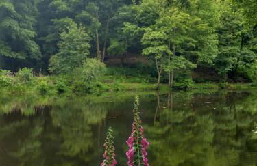 The End Place - Foto 20