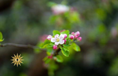 Soul River - Rifugio Zen sul Ruscello - Foto 4