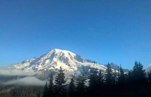 Mt Rainier Little Red Cabin - Foto 2
