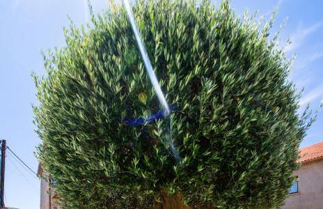 Apartamentos Eira Do Mar Sanxenxo - Foto 54