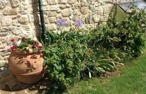 Agriturismo Podere Casetta - Foto 47