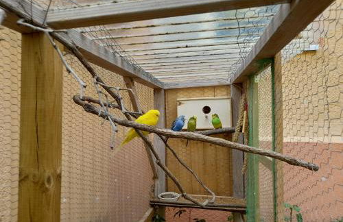 Ferienwohnung Linke "Grünblick" - Foto 14