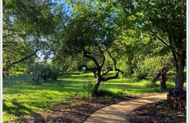 Cottage avec jacuzzi privé & jardin nature près de Chaumont-sur-Loire - Foto 18
