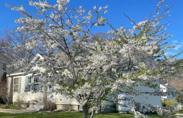 Sea Fog Cottage - Foto 12