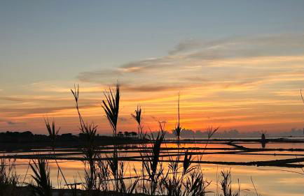 Appartamento Il Dammuso - Foto 16