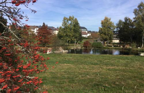 Gemütliche 1Z FeWo in Schönwald mit Balkon, Schwimmbad, Sauna, Fitness - Foto 11